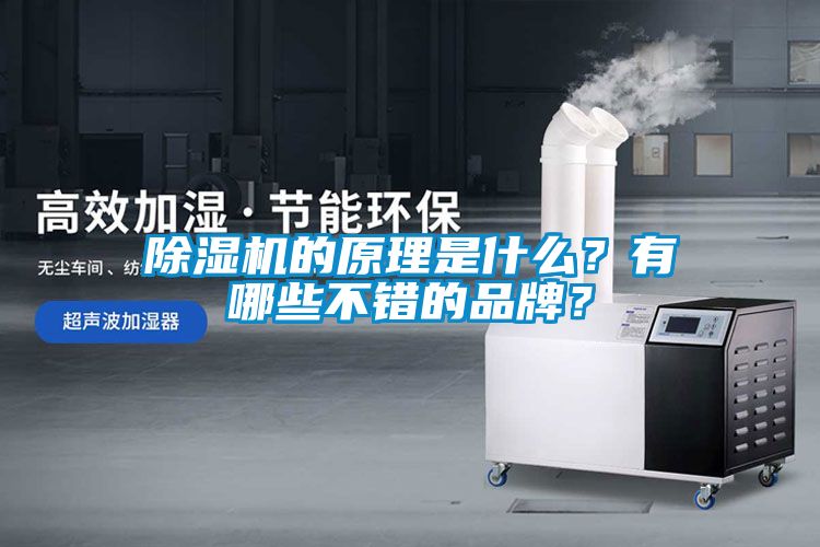 除濕機的原理是什么？有哪些不錯的品牌？