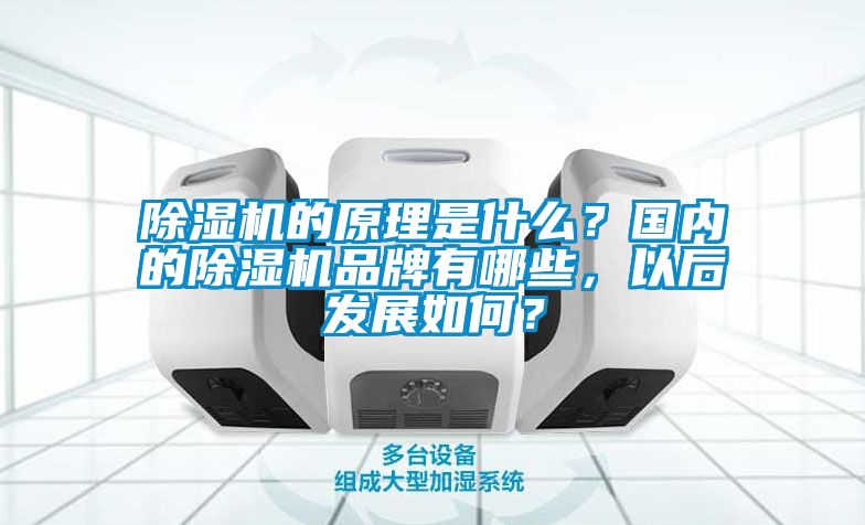 除濕機的原理是什么？國內的除濕機品牌有哪些，以后發展如何？