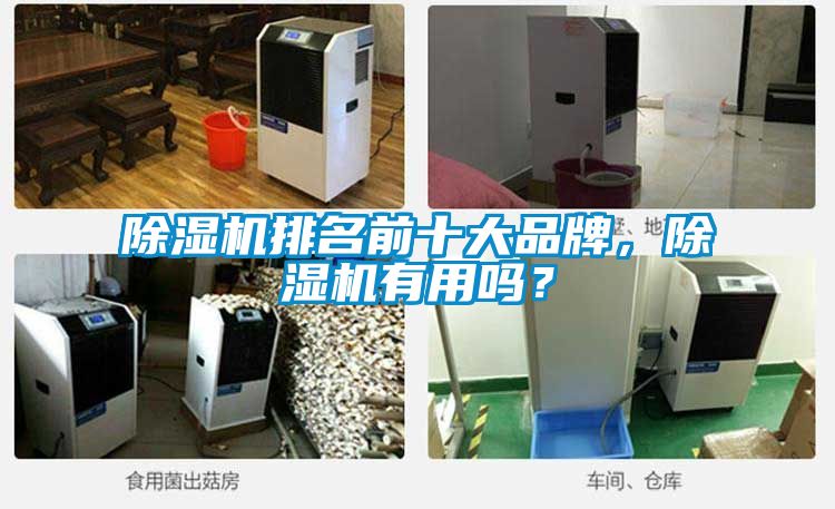 除濕機(jī)排名前十大品牌，除濕機(jī)有用嗎？