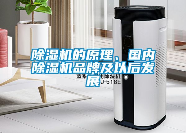 除濕機的原理、國內除濕機品牌及以后發展