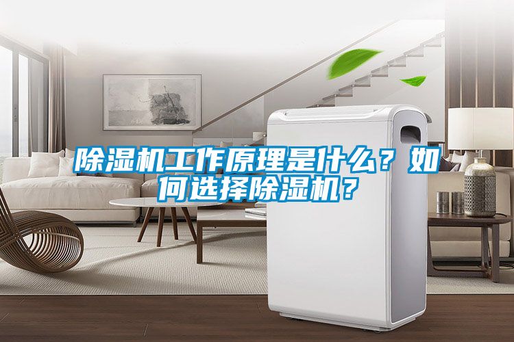 除濕機工作原理是什么？如何選擇除濕機？