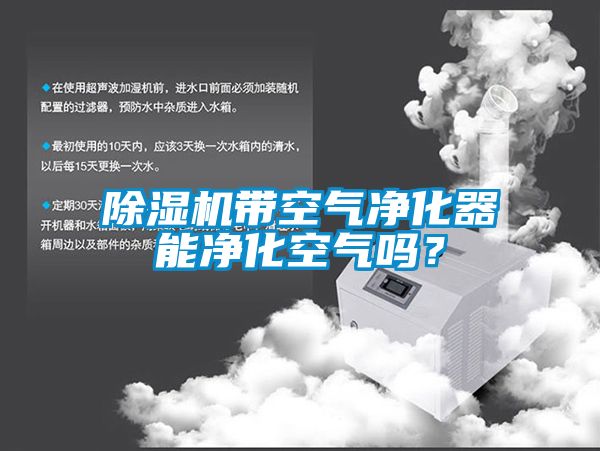除濕機帶空氣凈化器能凈化空氣嗎？