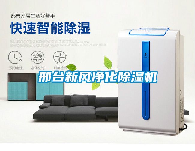 邢臺新風(fēng)凈化除濕機