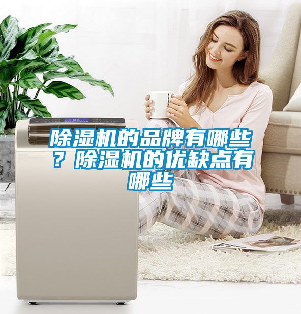 除濕機的品牌有哪些？除濕機的優(yōu)缺點有哪些