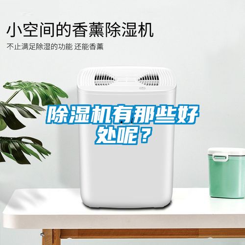 除濕機(jī)有那些好處呢？