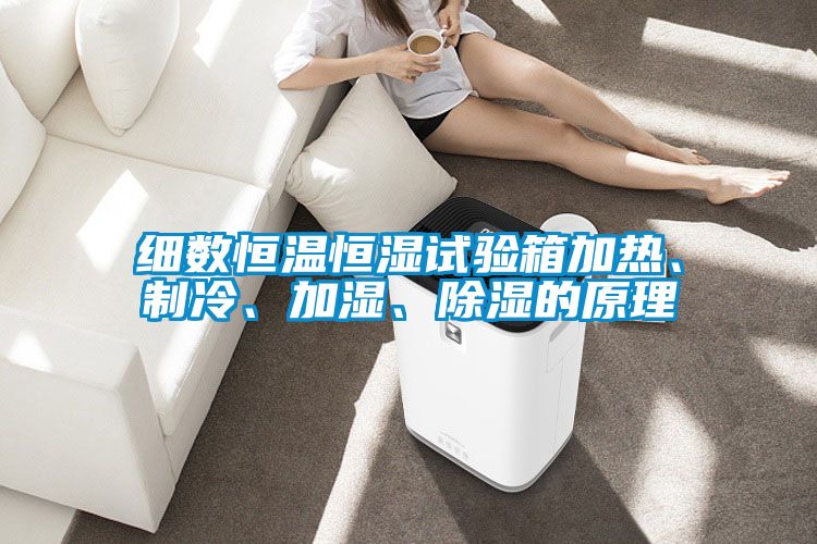 細數(shù)恒溫恒濕試驗箱加熱、制冷、加濕、除濕的原理