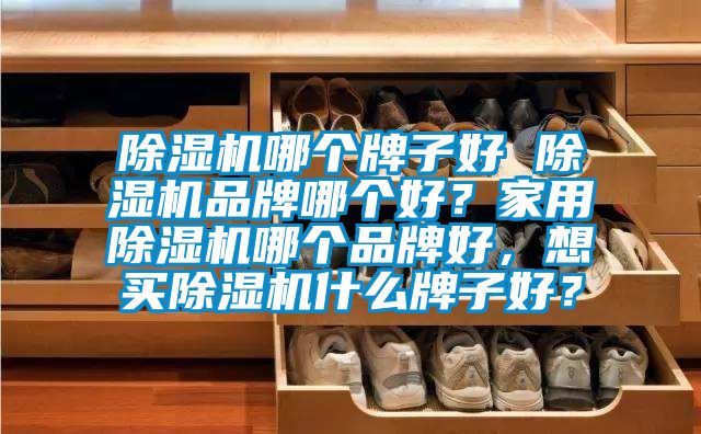 除濕機(jī)哪個(gè)牌子好 除濕機(jī)品牌哪個(gè)好？家用除濕機(jī)哪個(gè)品牌好，想買除濕機(jī)什么牌子好？