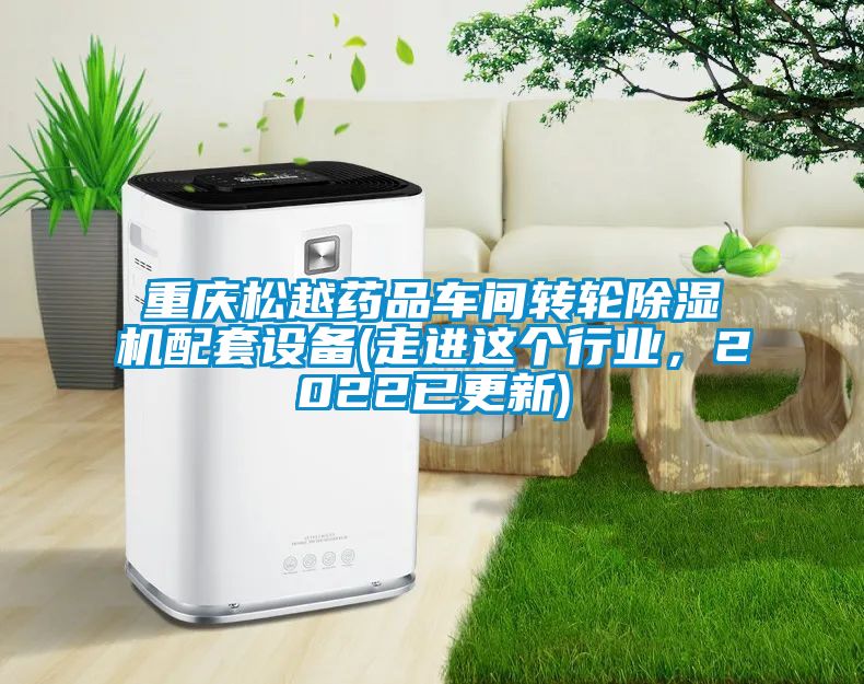 重慶松越藥品車間轉輪除濕機配套設備(走進這個行業，2022已更新)