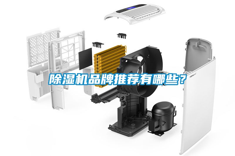 除濕機品牌推薦有哪些？