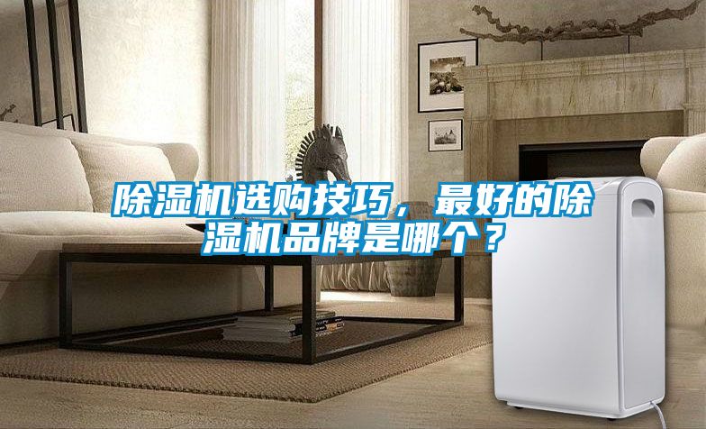 除濕機(jī)選購技巧，最好的除濕機(jī)品牌是哪個？