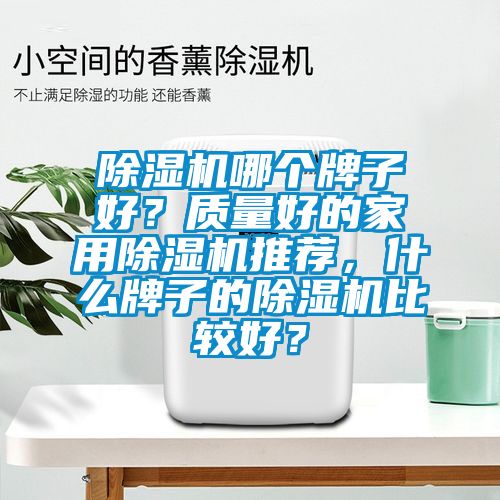 除濕機(jī)哪個(gè)牌子好？質(zhì)量好的家用除濕機(jī)推薦，什么牌子的除濕機(jī)比較好？