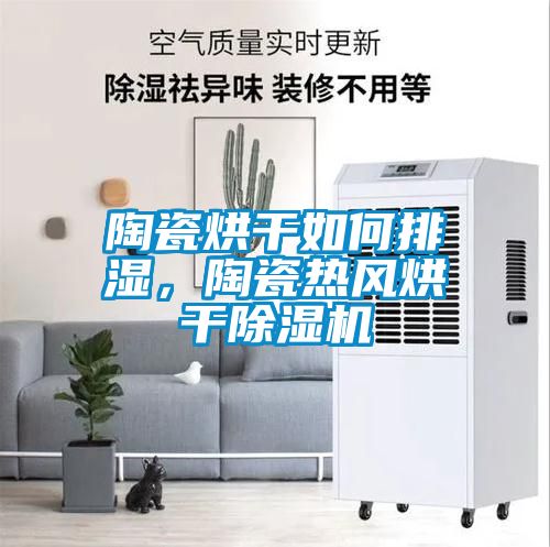 陶瓷烘干如何排濕，陶瓷熱風烘干除濕機