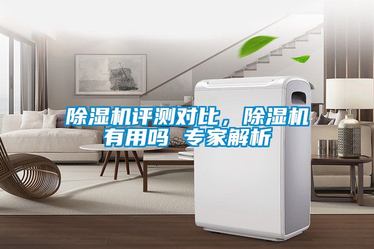 除濕機(jī)評(píng)測對比，除濕機(jī)有用嗎 專家解析