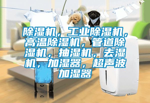 除濕機，工業(yè)除濕機，高溫除濕機，管道除濕機，抽濕機，去濕機，加濕器，超聲波加濕器