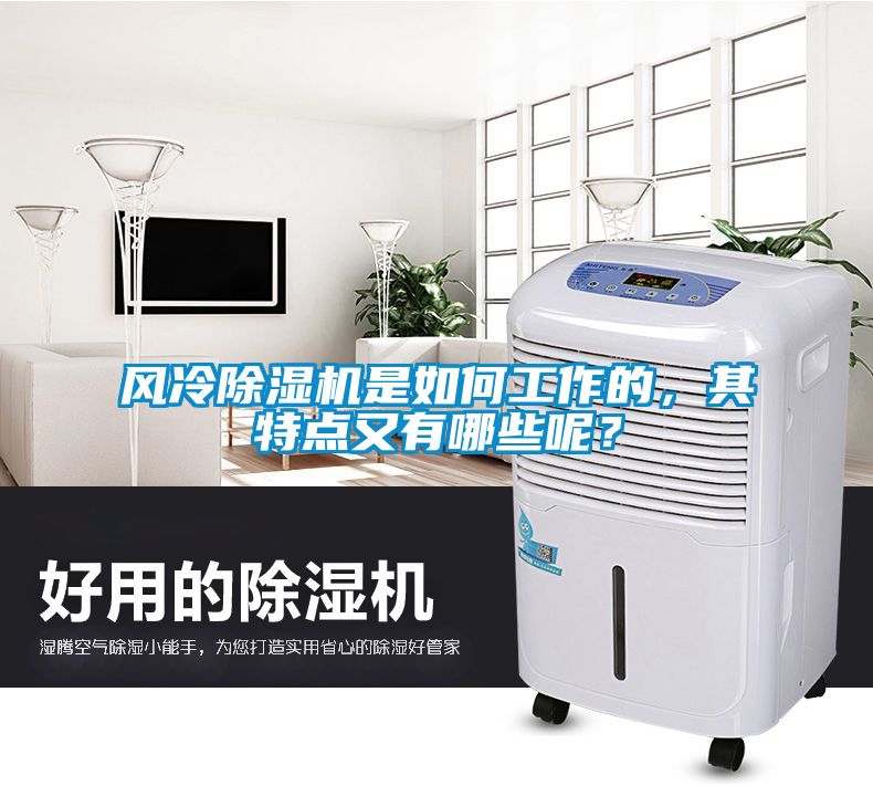 風冷除濕機是如何工作的，其特點又有哪些呢？