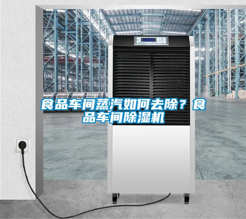 食品車(chē)間蒸汽如何去除？食品車(chē)間除濕機(jī)