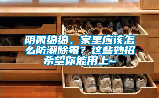 陰雨綿綿，家里應(yīng)該怎么防潮除霉？這些妙招希望你能用上~