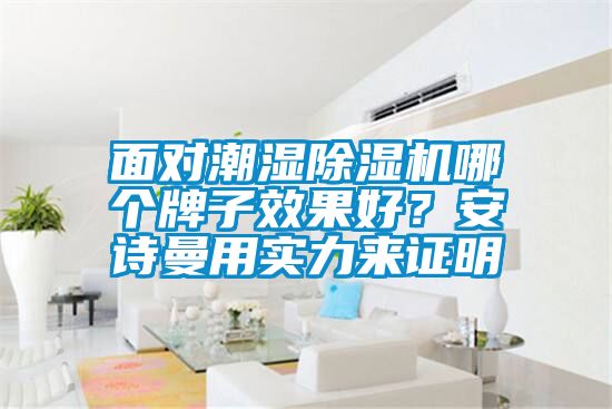 面對潮濕除濕機(jī)哪個(gè)牌子效果好？安詩曼用實(shí)力來證明
