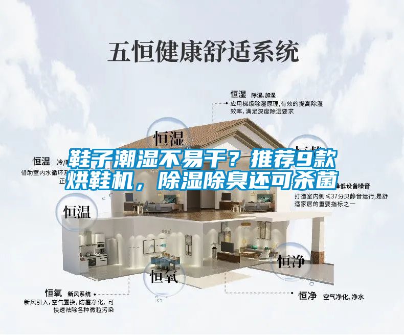 鞋子潮濕不易干？推薦9款烘鞋機(jī)，除濕除臭還可殺菌