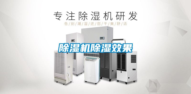 除濕機除濕效果