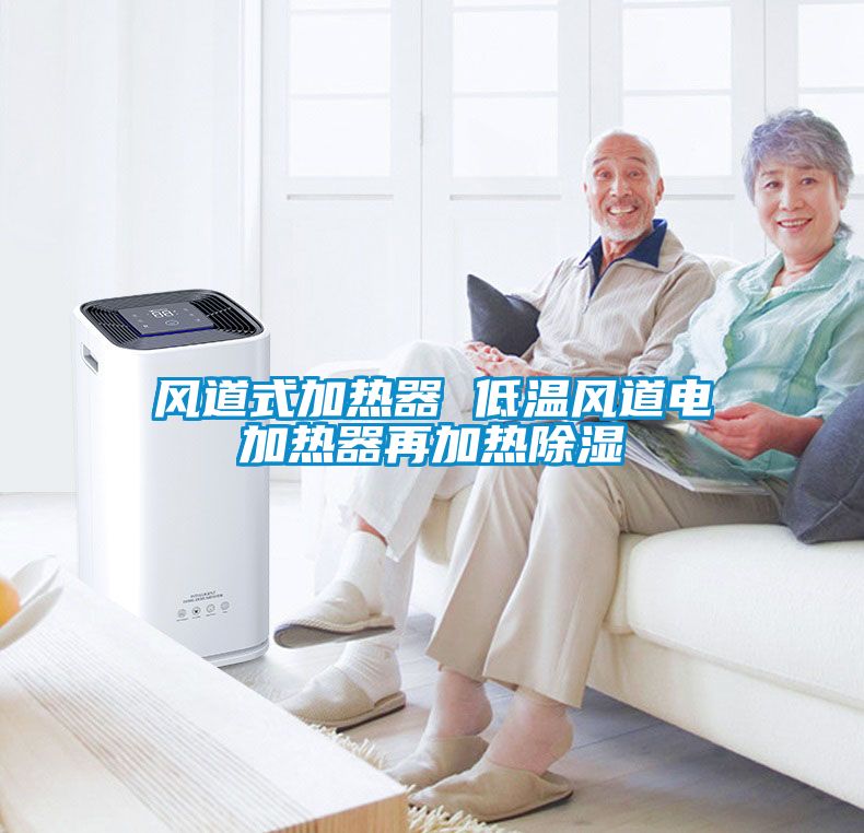 風道式加熱器 低溫風道電加熱器再加熱除濕