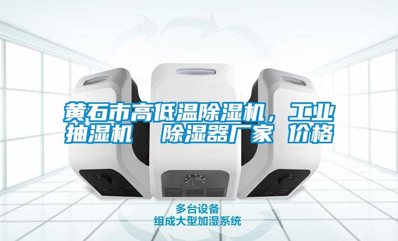 黃石市高低溫除濕機，工業(yè)抽濕機  除濕器廠家 價格