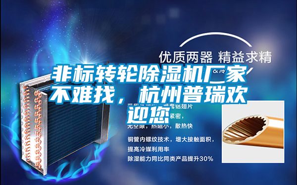 非標轉輪除濕機廠家不難找，杭州普瑞歡迎您