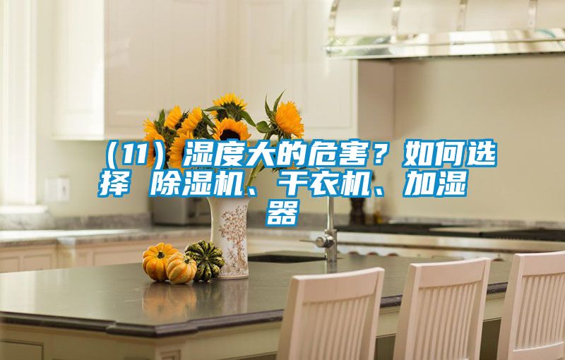 （11）濕度大的危害？如何選擇 除濕機、干衣機、加濕器