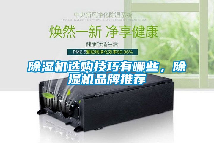 除濕機(jī)選購(gòu)技巧有哪些，除濕機(jī)品牌推薦