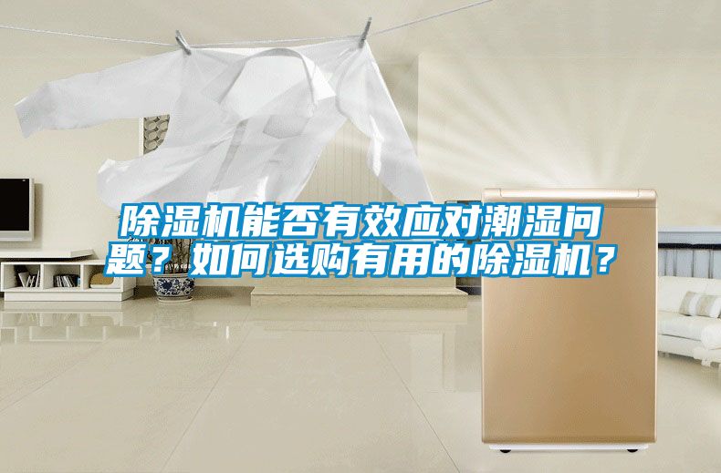 除濕機(jī)能否有效應(yīng)對(duì)潮濕問題？如何選購(gòu)有用的除濕機(jī)？
