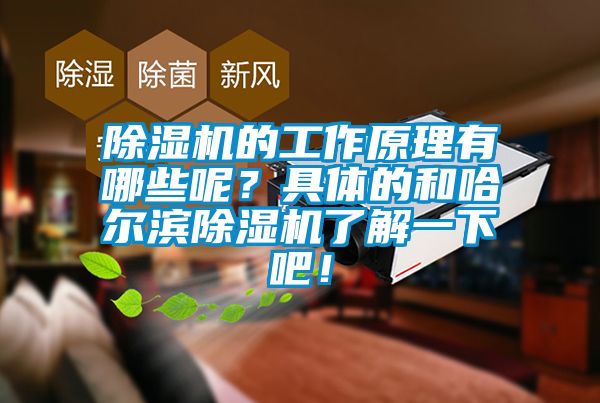 除濕機(jī)的工作原理有哪些呢？具體的和哈爾濱除濕機(jī)了解一下吧！
