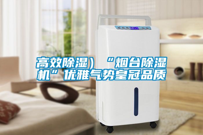 高效除濕）“煙臺除濕機”優雅氣勢皇冠品質
