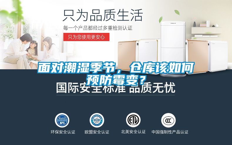 面對潮濕季節，倉庫該如何預防霉變？