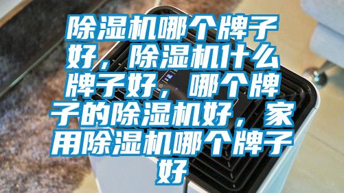 除濕機(jī)哪個(gè)牌子好，除濕機(jī)什么牌子好，哪個(gè)牌子的除濕機(jī)好，家用除濕機(jī)哪個(gè)牌子好