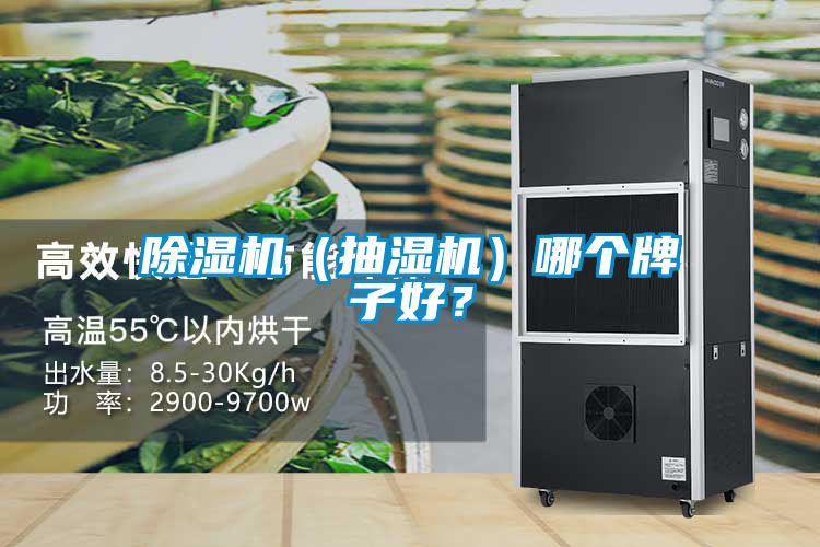 除濕機（抽濕機）哪個牌子好？