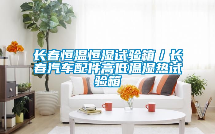 長(zhǎng)春恒溫恒濕試驗(yàn)箱／長(zhǎng)春汽車(chē)配件高低溫濕熱試驗(yàn)箱