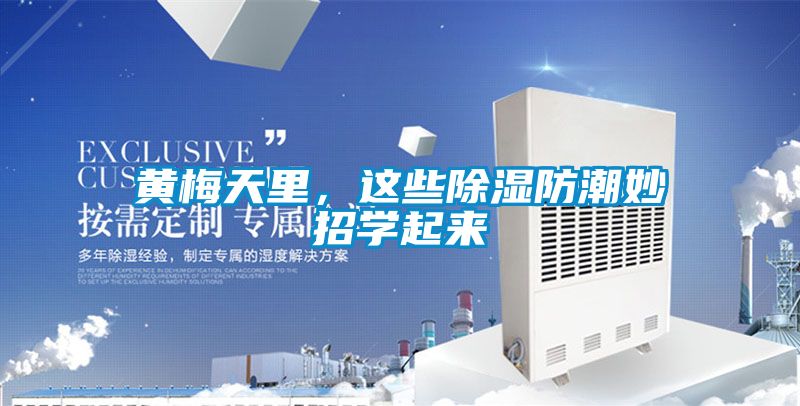 黃梅天里，這些除濕防潮妙招學(xué)起來