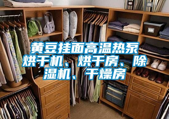 黃豆掛面高溫熱泵烘干機、烘干房、除濕機、干燥房