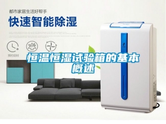 知識百科恒溫恒濕試驗(yàn)箱的基本概述