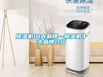 企業新聞除濕機10大品牌—除濕機十大品牌介紹