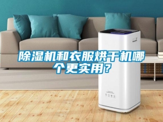 常見問題除濕機(jī)和衣服烘干機(jī)哪個更實用？