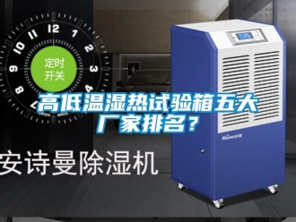 常見問題高低溫濕熱試驗(yàn)箱五大廠家排名？