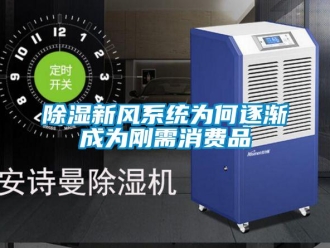 企業(yè)新聞除濕新風系統(tǒng)為何逐漸成為剛需消費品