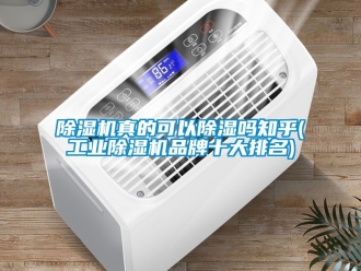 常見問題除濕機真的可以除濕嗎知乎(工業除濕機品牌十大排名)