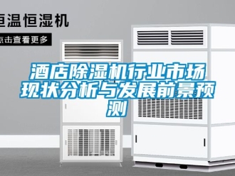行業(yè)新聞酒店除濕機行業(yè)市場現(xiàn)狀分析與發(fā)展前景預(yù)測