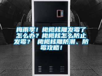 常見問題梅雨季！橄欖核雕發霉了怎么辦？橄欖核怎么防止發霉？ 橄欖核雕防潮、防霉攻略！