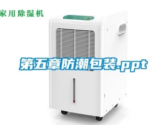 企業新聞第五章防潮包裝.ppt