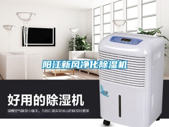 常見(jiàn)問(wèn)題陽(yáng)江新風(fēng)凈化除濕機(jī)