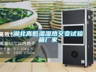 常見問題湖北高低溫濕熱交變試驗(yàn)箱廠家