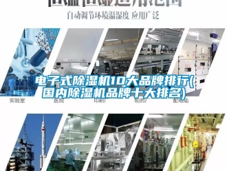 企業(yè)新聞電子式除濕機(jī)10大品牌排行(國內(nèi)除濕機(jī)品牌十大排名)